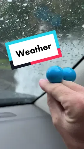 Replying to @puppetshack Always ❤️ @Juliet ‘s #brodads time #floridarain #dannypibbetexplores #crazyfloridaweather #dannypibbet