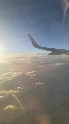 #انورة_بقدومك_الدار_يالغالي #اكسبلور_تيك_توك🌹🎶🎵 #سنابي_بالبايو♥️_حياكم #تصويري_تصميمي_tarrab 