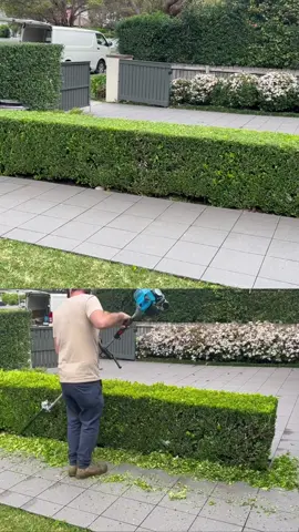 You know what to do Legends #foryou #nathanslawnsandgardens #garden #trendingvideo #trends #beforeandafter #cleaningasmr