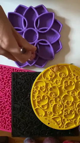 No to czas na powrót do BARFowania ❤️ #jedzeniedlapsów #barf #pieski #gotowanie #dlaciebie 