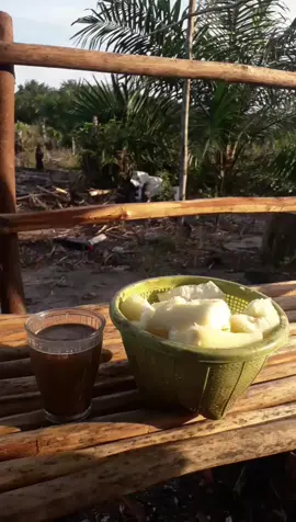 Senja di Ufuk Barat di temani Secangkir Kopi dan Ubi Rebus lokasi di Kebun Sawit #senja #rebusubi #ubi #singkong #kopi #sore #ubirebus #fyp #fypdong #masukberanda #masukberandamu #masukberandafyp #sawit #kebunsawit #petani #kelapasawit #kelapasawitindonesia #kebun #kebunsawit 