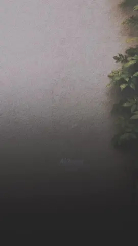 #حسين_الجسمي #الجسمي #ميحد_حمد_الفنان_الاماراتي_الاول #ميحد_حمد_قديم #ميحد_حمد #foryou #fyp #uae #foryou #fypシ 