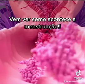 Você sabia que era assim que acontecia o seu ciclo menstrual? #menstruação #ciclomenstrual
