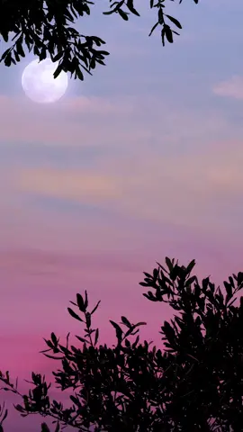 Afternoon Moon #freevideos #background #freestockvideos #stockvideos #copyrightfree #backgroundvideo  #livebackground #moon 