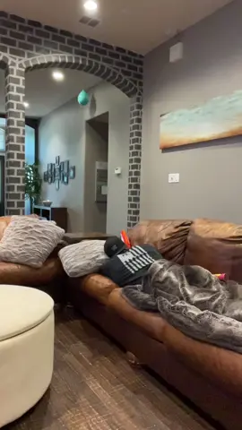 That worked ⛱😂🥳 @jlo1017 #fyp #umbrellahat #dry #foryou 