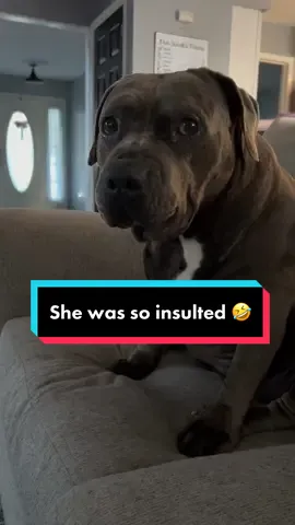 She was insulted 🤣#SephoraConcealers #thisisnalasworld #DrPepperTuitionContest #fyp #pitbullsoftiktok 