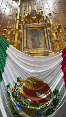 TE AMO MI MEXICO LINDO Y QUERIDO!♥️♥️♥️🇲🇽 #mexico #mexicotiktok #mexicanindependanceday #vivamexico #vivamexicocabrones #mexicocheck #zocalo #cdmx #elgrito #mexicocity #fyp #foryoupage #parati 