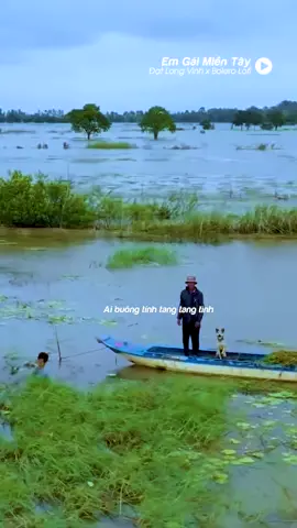 Lục bình trôi đến nơi phương trời...#vietfilm #datlongvinh #lofihiendai