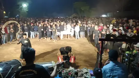 @Jhon🦁Gemex ngarai wong semburat #jaranandorkhasmalang #jarananindonesia #jaranantiktok #jarananndadi #acrlionboys 