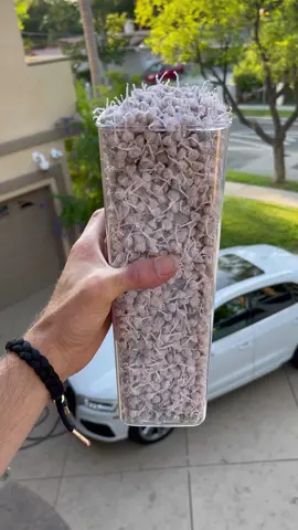 where would I find the red ones??