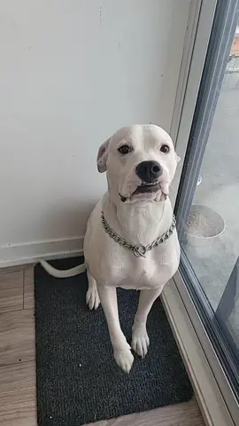 my Zeus ... 🥰