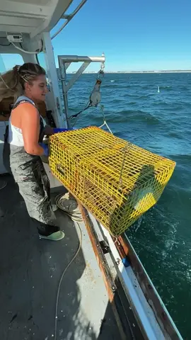 Fishing is a way of life 🧜🏼‍♀️ #lobstergirl #lobstering #fishing #fishinglife #newhampshire #eastcoastfishing #eastcoast #nhgirl #nh #stripedbassfishing 