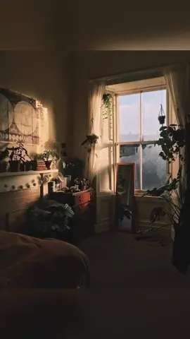 لو كان خيالى،،،،،اصاله #اصاله  #اصاله_نصري  #لايك  #اغانى 