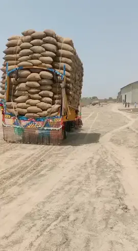 #viralvideo #viralvideo #foryourpage #foryourpage #pleasesupportme🙏🙏♥️♥️