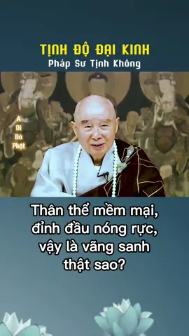 Thân thể mềm mại, đỉnh đầu nóng, có phải vãng sanh không? #hoathuongtinhkhong #phapsutinhkhong #phapmontinhdo #adidaphat #tinhdodaikinh
