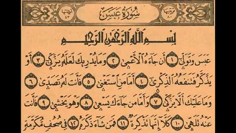 Suratul Cabasa Duri can Abi Camr Jazakalah#Quran_Kariim(القرءان_الكريم) #Baro_Quranka #Daaci_Dacwa Daaci_Qasimi