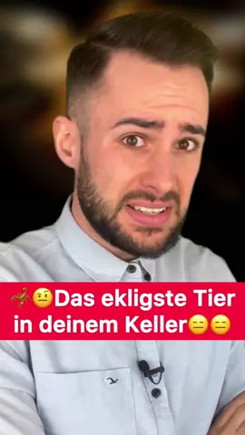 Junge WARUM gibts sowas😩😭 #interessant #tiere