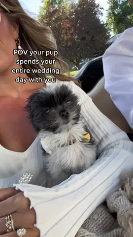 I’m crying 🥺 #weddingday #puppy #wedding #weddingtiktok 