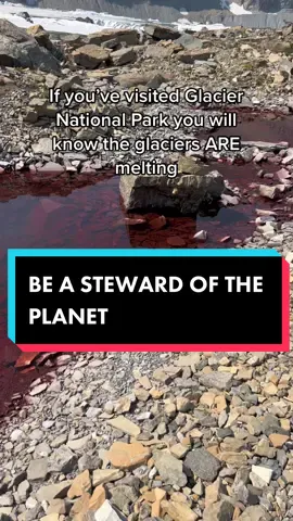 Watermelon snow, also called snow algae, pink snow, red snow, or blood snow, is a phenomenon caused by Chlamydomonas nivalis, a species of green algae containing a secondary red carotenoid pigment (astaxanthin) in addition to chlorophyll. Unlike most species of fresh-water algae, this species appears to be cryophilic (cold-loving) and thrives in freezing water. This type of snow is common during the summer in alpine and coastal polar regions worldwide, such as the Sierra Nevada of California. Here, at altitudes of 10,000 to 12,000 feet (3,000–3,600 m), the temperature is cold throughout the year, and so the snow has lingered from winter storms. Compressing the snow by stepping on it or making snowballs leaves it looking red. Walking on watermelon snow often results in getting bright red soles and pink trouser cuffs. Snow algae dominates glacial biomass immediately after the onset of melting, and its pigmentation can significantly darken the surface of a glacier. This plays a substantial role in glacial melt. Today, the Arctic is warming twice as fast as anywhere on earth, and the sea ice there is declining by more than 10% every 10 years. As this ice melts, darker patches of ocean start to emerge, eliminating the effect that previously cooled the poles, creating warmer air temperatures and disrupting normal patterns of ocean circulation. Research shows the polar vortex is appearing outside of the Arctic more frequently because of changes to the jet stream, caused by a combination of warming air and ocean temperatures in the Arctic and the tropics. The glacial melt we are witnessing today in Antarctic and Greenland is changing the circulation of the Atlantic Ocean and has been linked to collapse of fisheries in the Gulf of Maine and more destructive storms and hurricanes around the planet. What happens in these places has consequences across the entire globe. As sea ice and glaciers melt and oceans warm, ocean currents will continue to disrupt weather patterns worldwide. Industries that thrive on vibrant fisheries will be affected as warmer waters change where and when fish spawn. Coastal communities will continue to face billion-dollar disaster recovery bills. 
