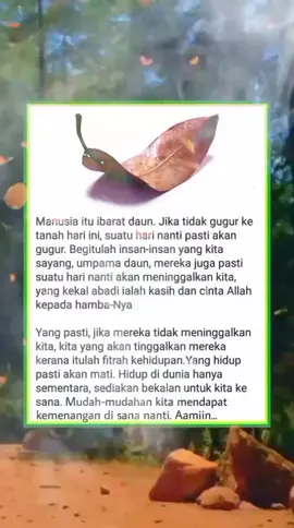 hidup dan mati semuanya hanya titipan semoga kita semua selalu istiqomah🤲 #asaalamualaikum🙏 #fypシ