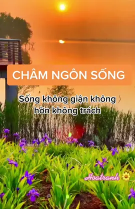 Châm ngôn sống #hoatranhshop #canhdep #xuhuong #thinhhanh #CosyDieuKy #moingaymotcaunoihay🌼 #songtichcuc #foryou 