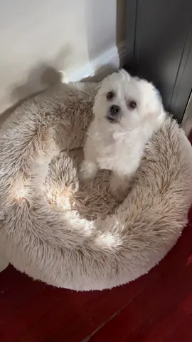 morning #followme #sunnyday #fashion #Lifestyle #mood #fun #beauty #friends #travel #goodnight #goodtime #happyday #weekend #followforfollowback #cute #poland #f #style #instamood #goodmood #sky #myself #insta #sunshine #naturephotography #happiness #instapic #enjoy #motivation 