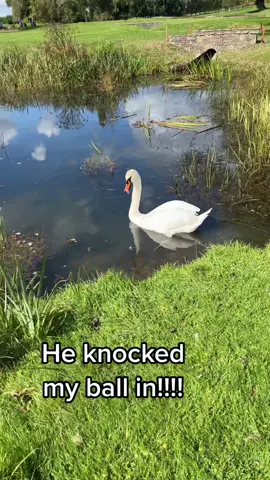 #golfproblems #golf #golftok #Vlog #sport #golfcourse #golflife 