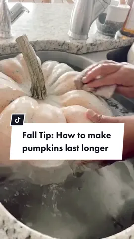 SAVE this pumpkin tip for later! A must for fall!  #pumpkinseason #hometip #LikeAMonarch 