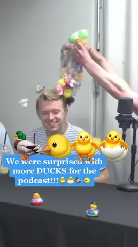 New DUCKS for the podcast!!! QUACK! YAY! #podcast #podcasts #podcastclips #funpodcast #funnypodcast #podcastforlife 