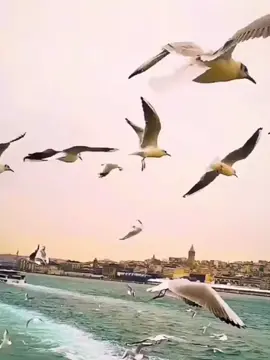 #اكسبلور #صباح_الخير #s23b3 