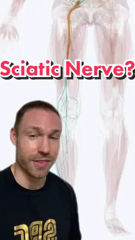 Tips for Sciatic Nerve Issues. #sciatica #sciaticarelief #physicaltherapy #backpain #backpainrelief #lowbackpain #doctor #doctorsoftiktok  