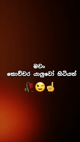 Replying to @dilishadew හිතට වැදුනු හොඳම කෙනා කවුද.?🤔❤️🥀 #fyp #onemillionaudition #whatsappstatus #ස්ටේටස්_වදන් #viral #tiktok #කුරැණෑගල_අපි♥
