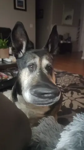 🤣🤣