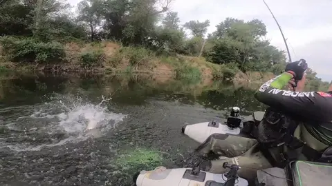 #fishing #pesca #wedkarstwo #catfish #siluro #sum #monsterfish #predatorfish #rivergishing #spinfishing #deporte #sports