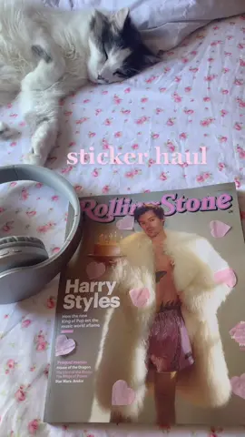 💌 #stickerhaul #harrycore #harrystyles #coquette #fyp #pinterest #harryshouse 