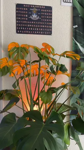 I’m obsessed with this audio 