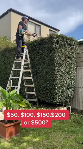 How much would you charge/pay? #nathanslawnsandgardens #fyp