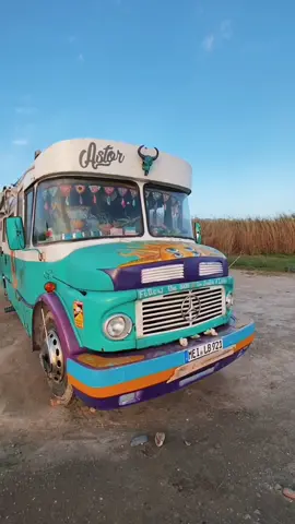 Welcome to our home 🚎 we call him Astor🌈 #vanlife #buslife #RoomTour #vantour #bustour #hippielife #fyp #foryou 