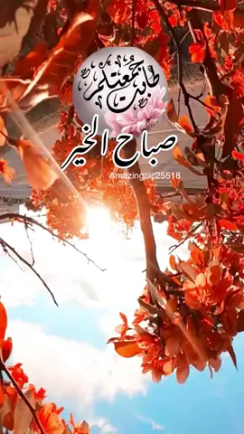 🙏🏻صباح الخير 🙏🏻#جمعه_مباركه #يوم #الجمعه #جمعه_طيبه_بذكر_الله #طابت_اوقاتكم #صباح_الخير #موسيقى #صباح #صباح_ومسا #amazingpic25518 #tiktok #fyp #goodmorning #friday #🙏🏻 