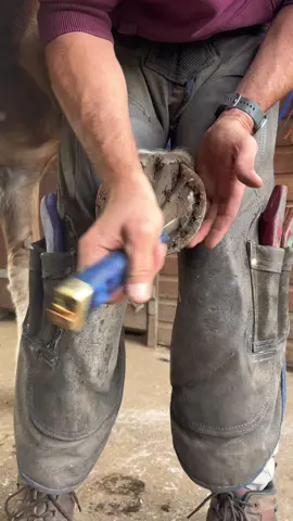 Loving these knives 😀 #forfarriersbyfarriers #farrier #farriersoftiktok #fyp #fypage #equestrian #fypシ #foryoupage #oddlysatisfying #horse #viral #verifyme 