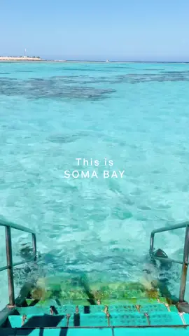 Detailed guide very soon  . . .  #honeymoonersguide #honeymooners #egypt #maldives #honeymoon #honeymoonpackage #redsea #somabayredsea #somabay #crystalclear 