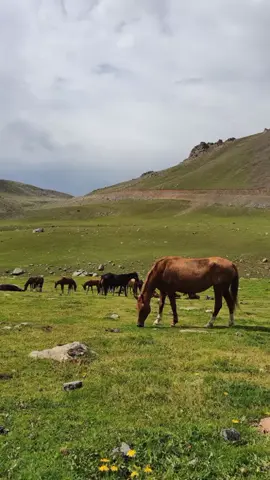 paham kan? #galaubrutal #4upage #4u 