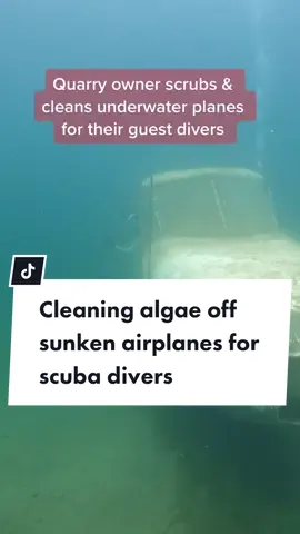 I guess sunken airplanes have to get cleaned, too! 🤿✌️✈️ #scubadivingwithkenny #divespots #fantasylane #rockquarry #sunkenplane #scubaspots #scubatok #scubadivingtips #scubatiktok  #weirdhobbies #smallbusinessowner #divingwithkenny 