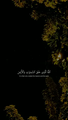 #عبد_الرحمن_مسعد #quran #🎧 