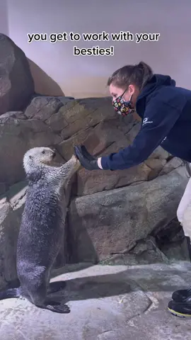 It’s always a great day with them. 🦦💙 #georgiaaquarium 
