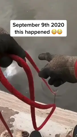 NOOOOOOO #fishing #scarystories #foryu