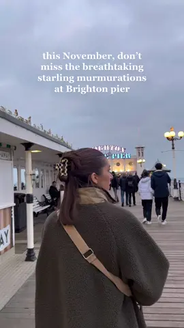 it’s almost the time of year to watch the starling murmurations at Brighton Pier ✨ get there before dusk to watch thousands of starlings create stunning clouds above the sea before they roost under the pier. 💕 #brightonpier #starlingmurmuration #brightonstarlings #thingstodoinbrighton #winteractivities #ukdateideas #traveluk  