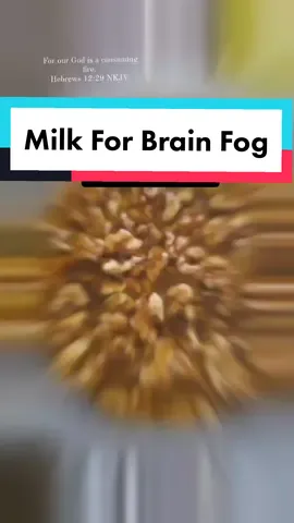 Brain fog can get the best of us sometimes! This milk was created with the intention of improving concentration, focus and learning. Perfect as a daily morning drink before a work and/or school day. #juicingrecipes #namaj2 #juicingtutorials #walnuts #walnutmilk #moringa #hibiscus #brain #brainhealth #brainfog #concentration #learning #fyp #fyppageforyou #milk #drinksoftiktok #focus 