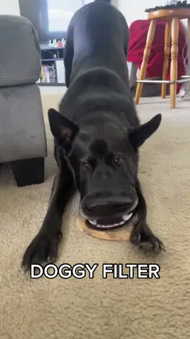 not the butt in the air😂 he's so cute tho🥹