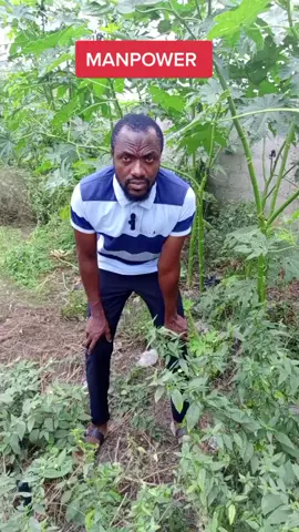 Manpower (erectile dysfunction)#foryoupage #goviral #fypシ #educationalpurposeonly #stopthehate